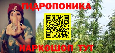 гидропоника Берёзовский