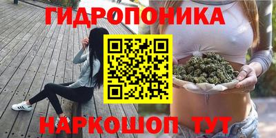 ГАЛЛЮЦИНОГЕННЫЕ ГРИБЫ Балахна